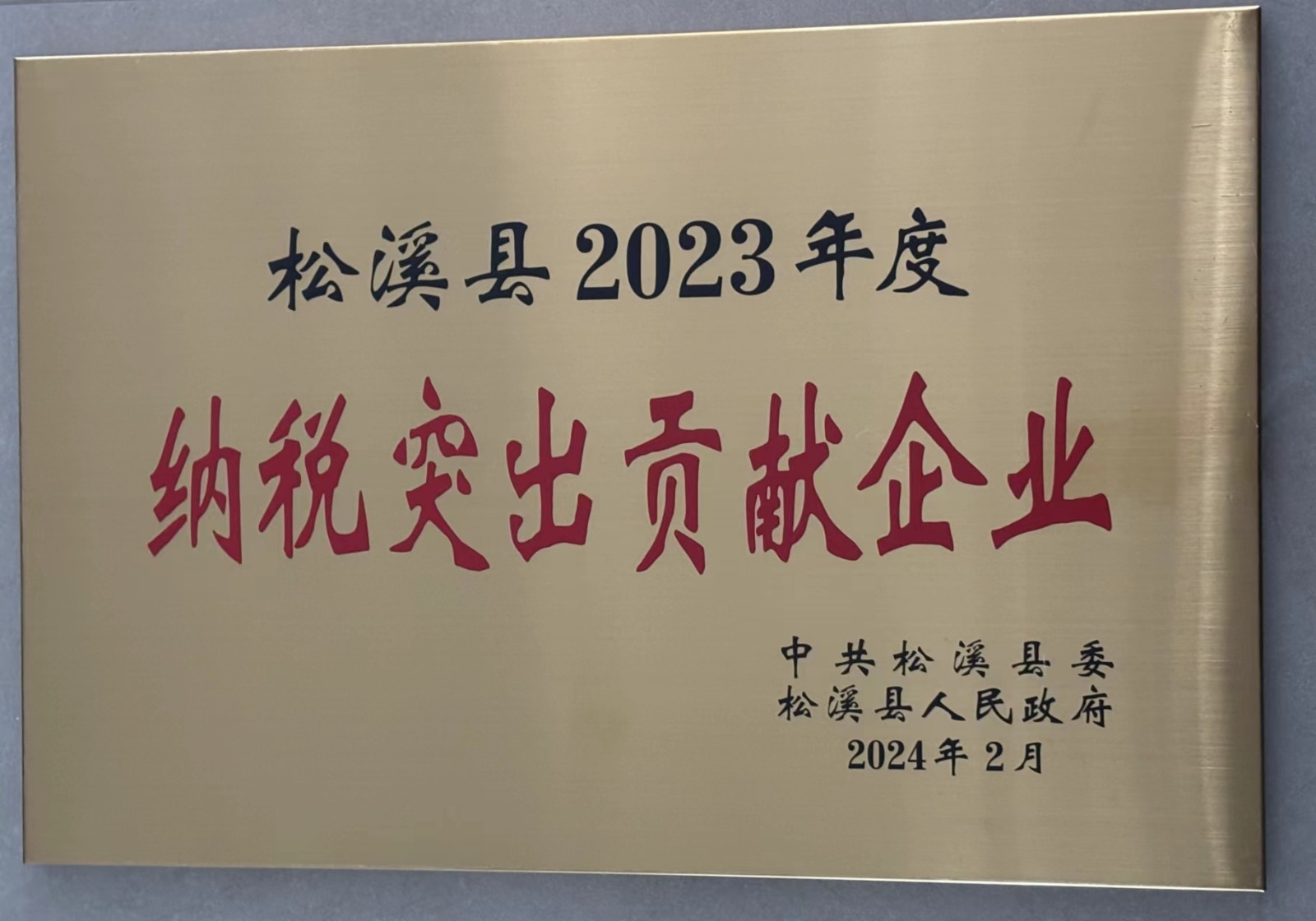 喜報(bào)!易順建工集團(tuán)榮獲“松溪縣2023年度納稅突出貢獻(xiàn)企業(yè)”稱號